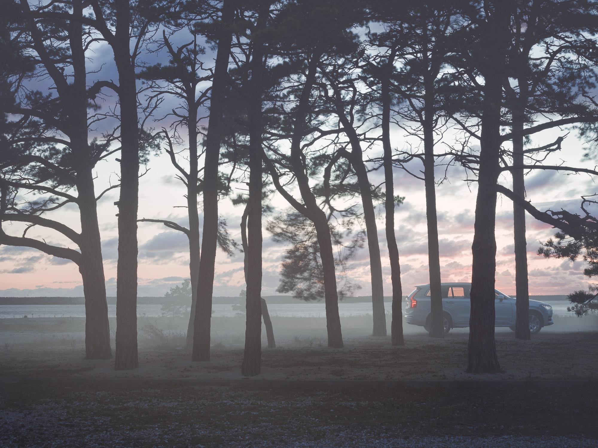 En bil kör längs en skogsväg i dimmigt morgonljus