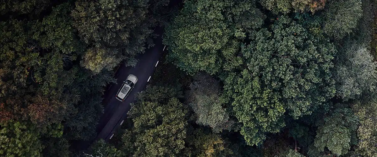 Bil kör på en skogsväg.