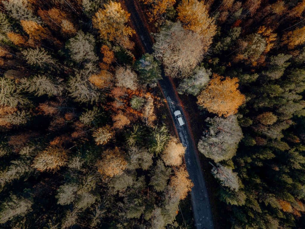 Bil kör på en höstig och regnblöt väg genom skogen. 